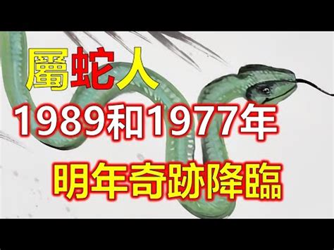 89年五行|1989年生肖蛇的是什么命 89年的属蛇人一生命运分析